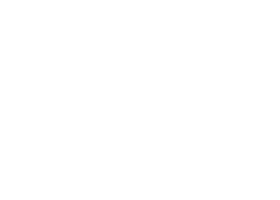 La Camera delle Meraviglie e altre storie false