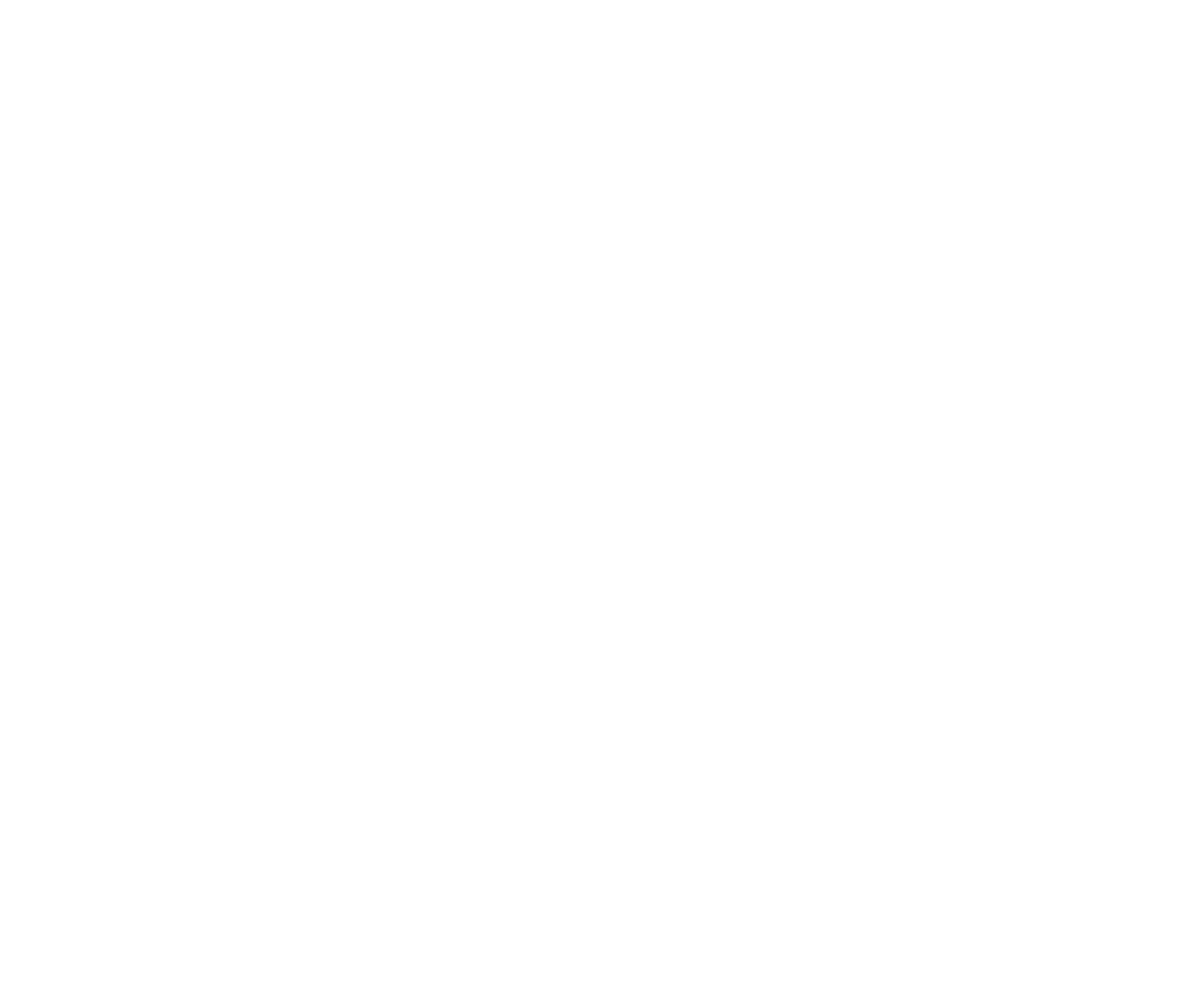 La Camera delle Meraviglie e altre storie false